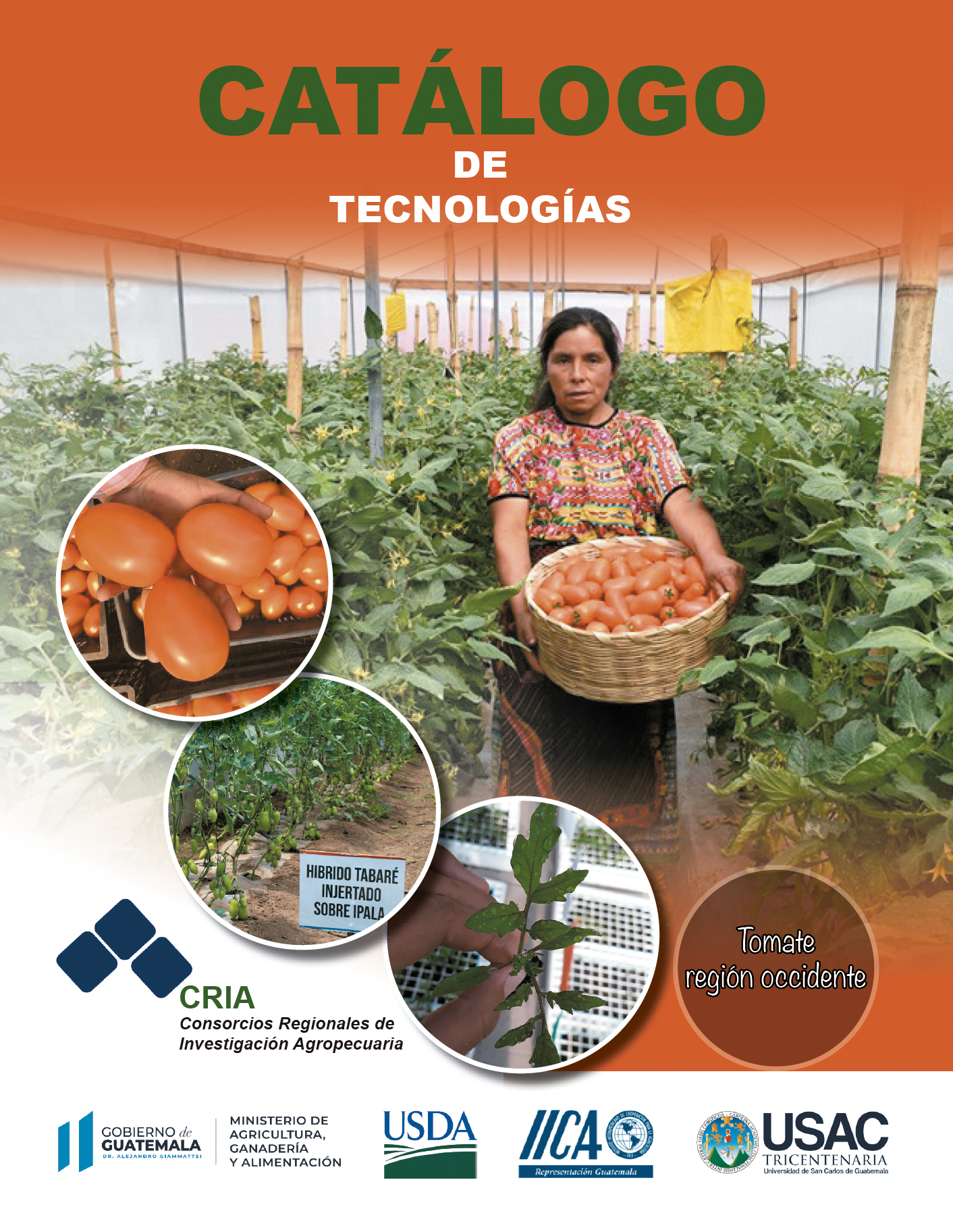 Catálogo de tecnologías validadas de tomate, región occidente