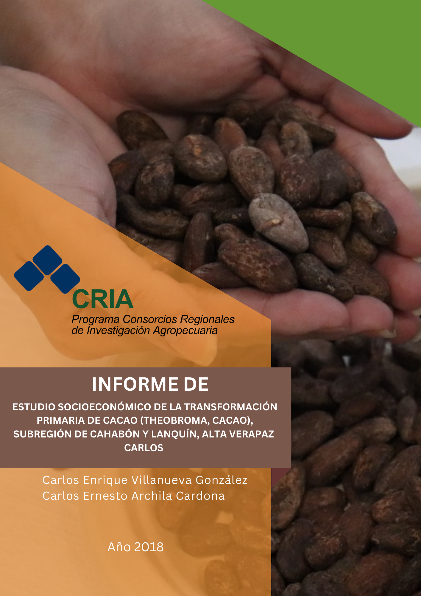 Transformación primaria de cacao en Cahabón y Lanquín.