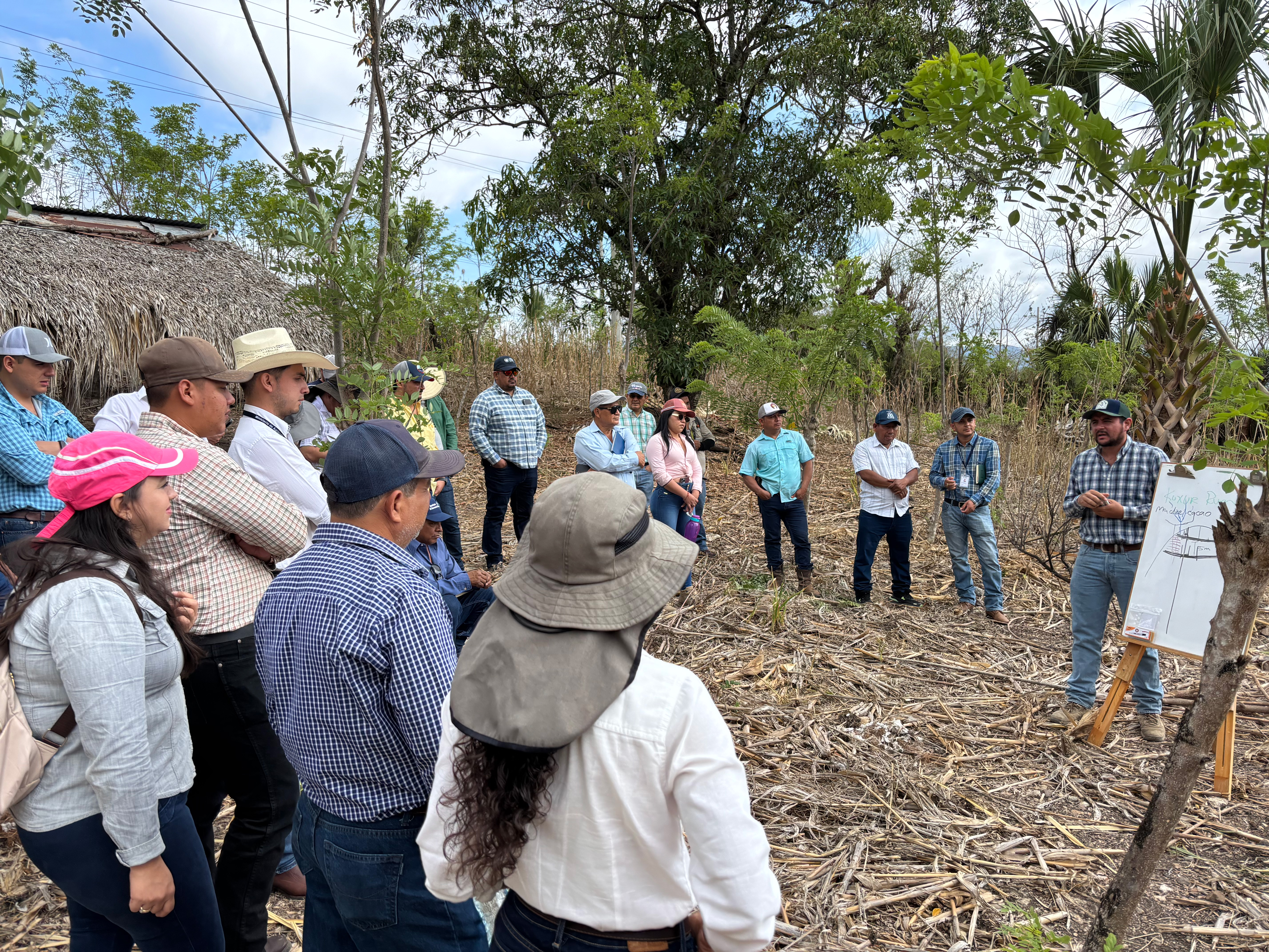 Extensionistas del MAGA realizaron visita de campo para conocer el funcionamiento del Sistema Agroforestal Kuxur Rum.