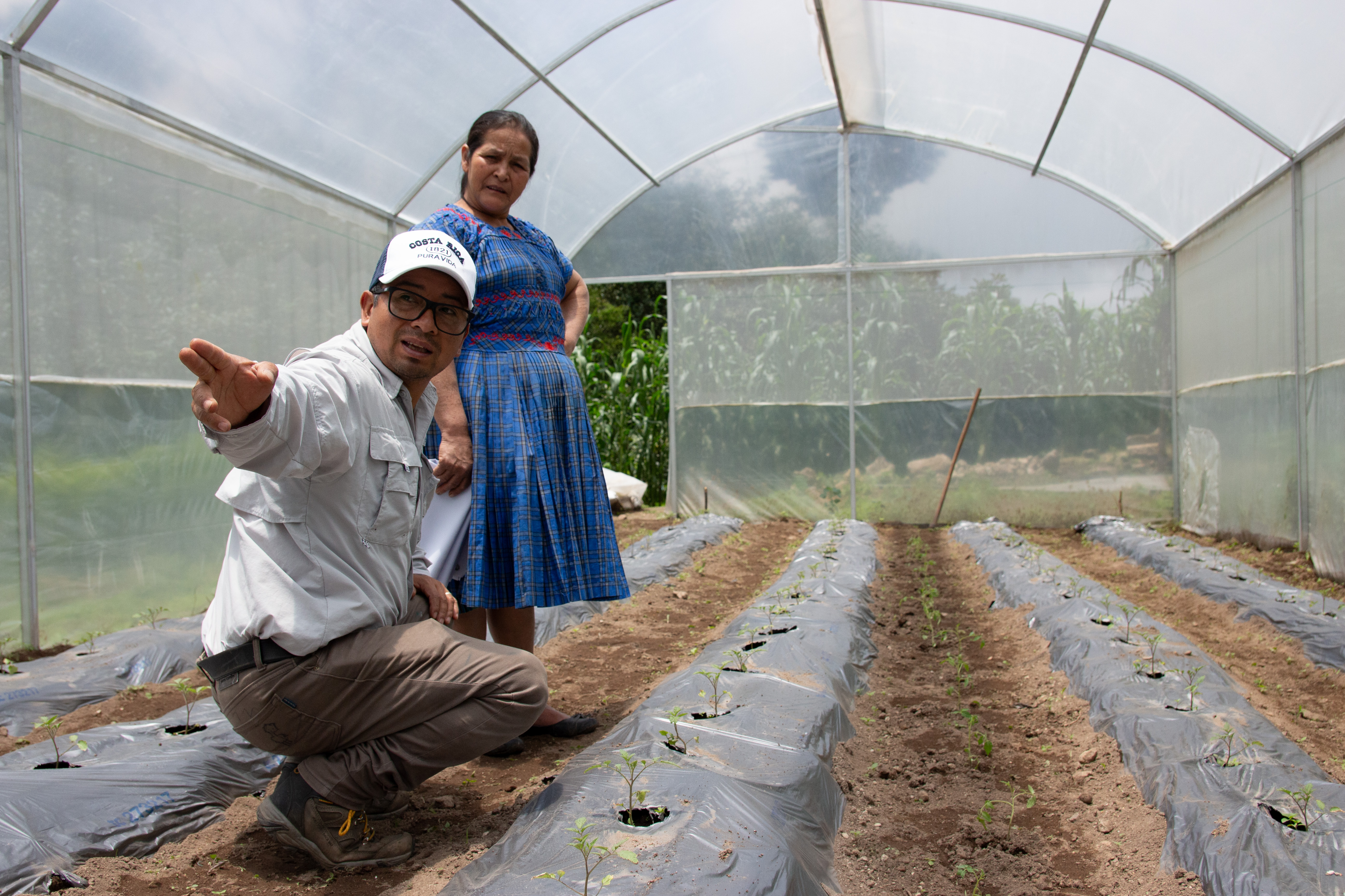 Invernadero en San Marcos en donde se desarrolla el protocolo agroecológico.