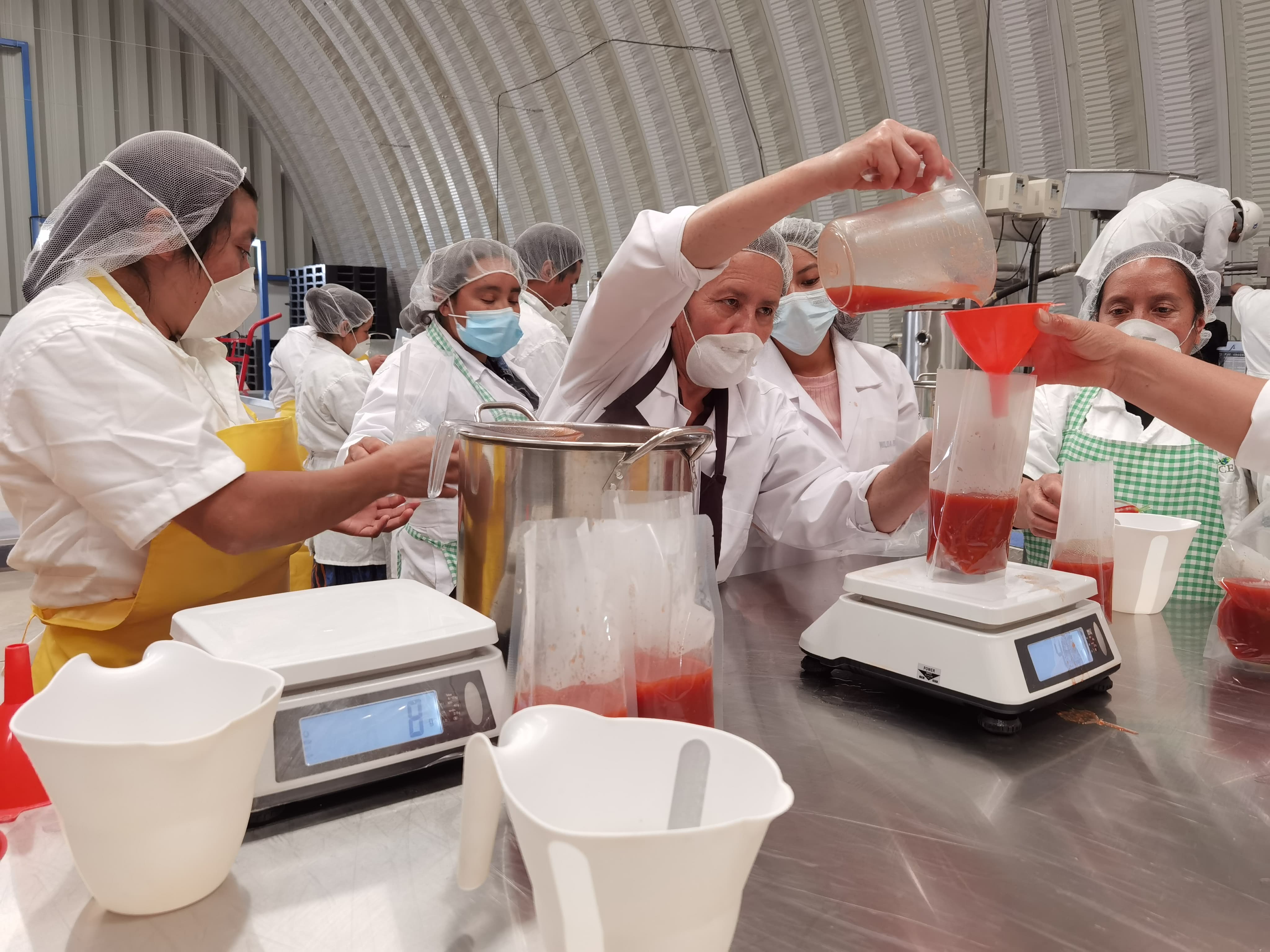 Transformación de tomate, salsas, condimentos y subproducto, dándole valor agregado.