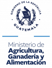 Logo del Ministerio de Agricultura Ganadería y Alimentación.