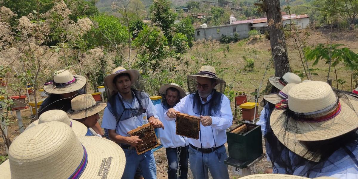 Cadena de miel