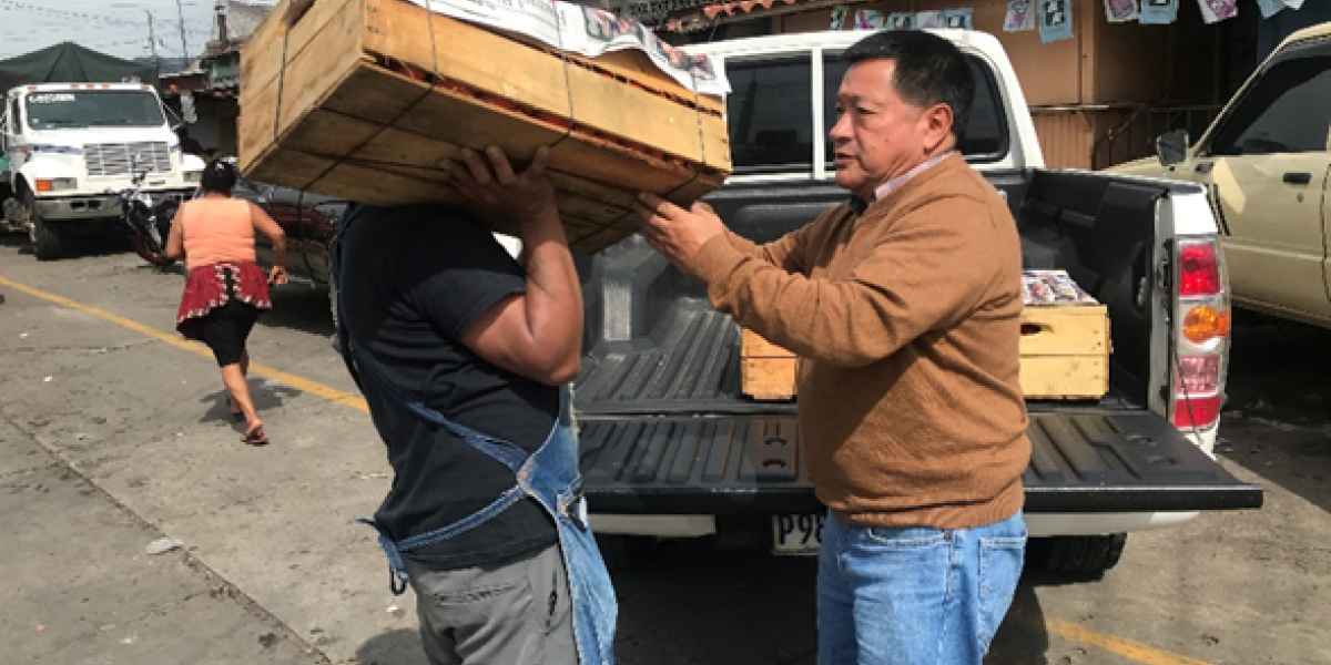 Proyecto papa