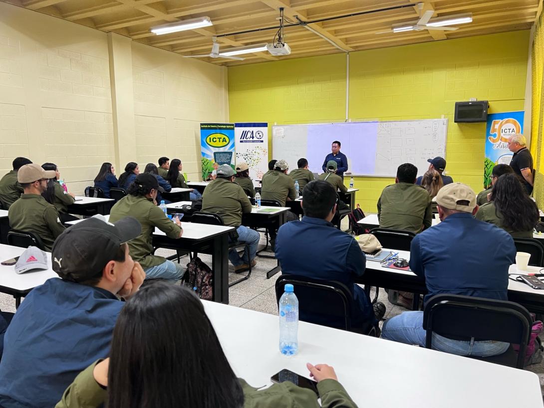 Futuros estudiantes mejoran sus competencias en análisis estadísticos.