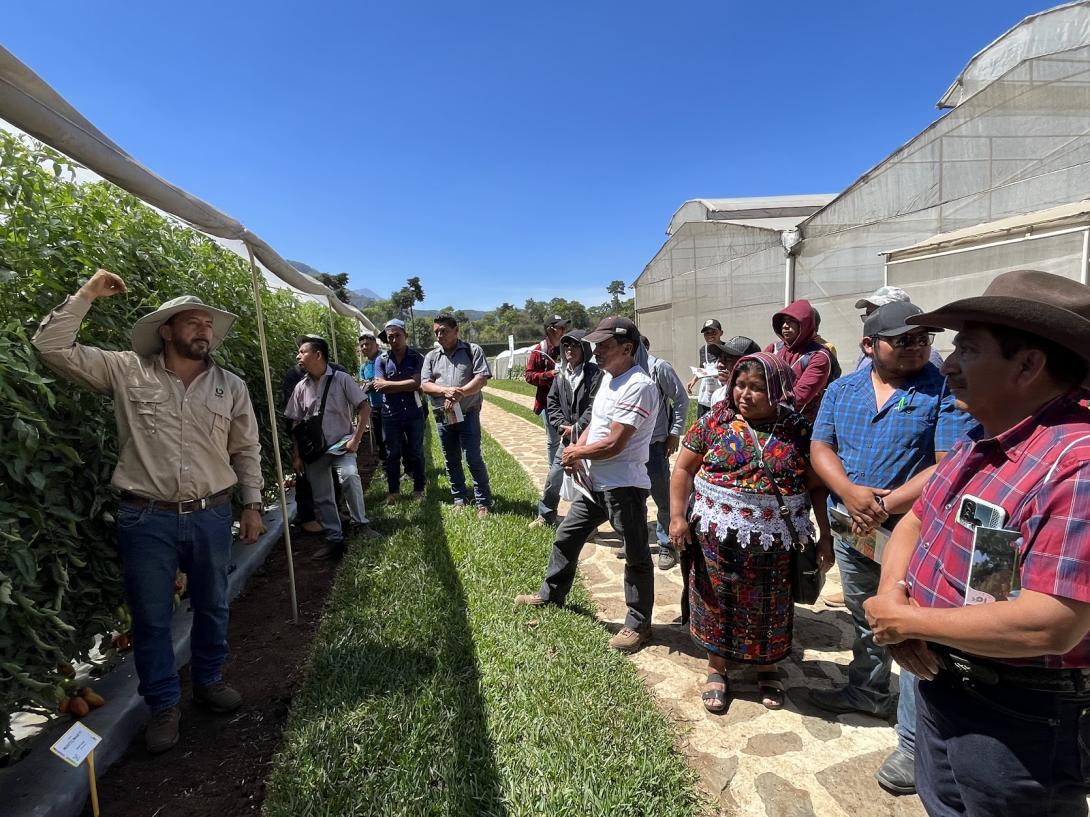 Productores beneficiados del proyecto realizaron gira en la finca BEJO, S.A. en Parramos, Chimaltenango.