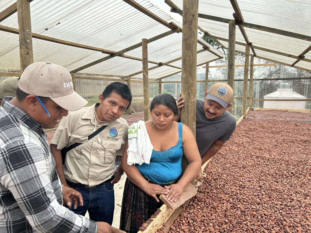 Capacitación sobre manejo de postcosecha y control de calidad